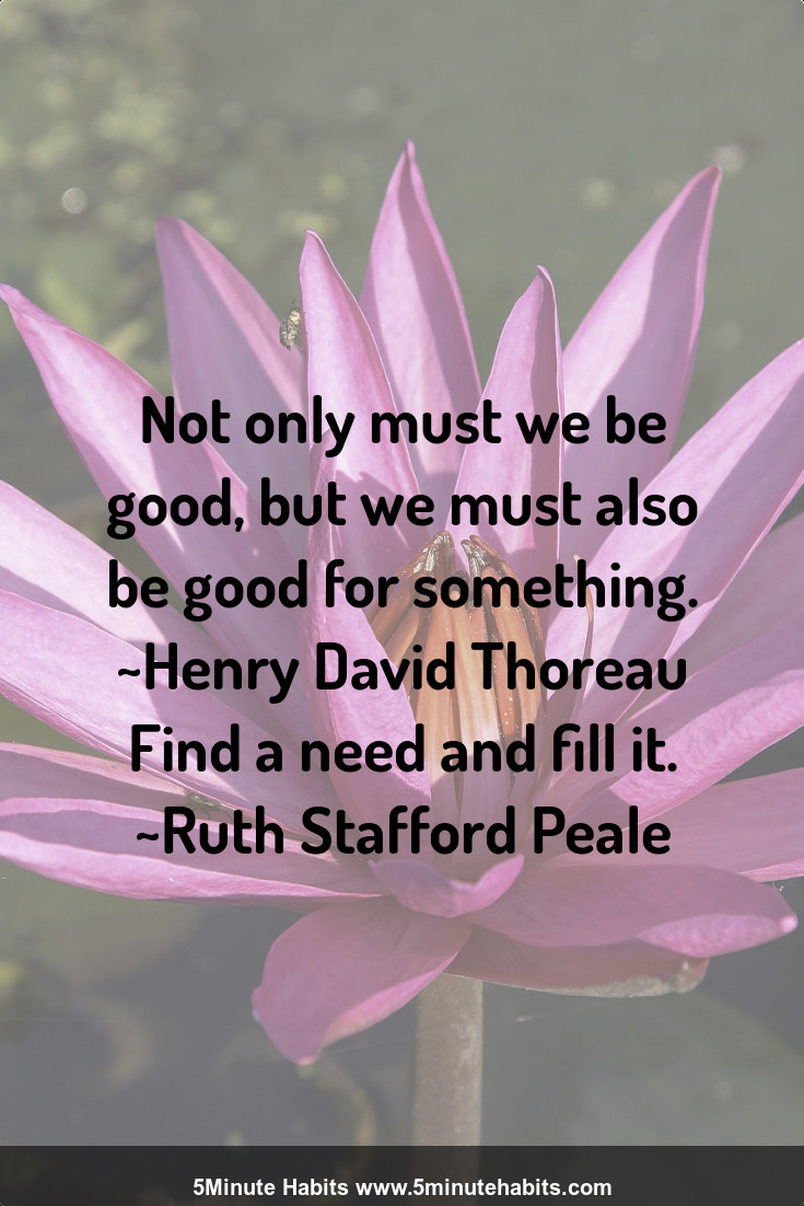 Not only must we be good, but we must also be good for something. ~Henry David Thoreau Find a need and fill it. ~Ruth Stafford Peale